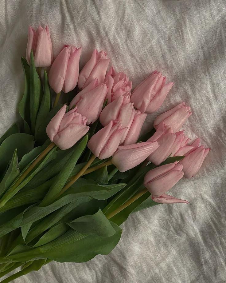 Harmony of Hues Botanical Medley